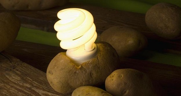 make-your-own-potato-lightbulb-01